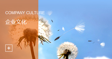 企业文化